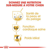 Royal Canin Aliment Sec Chien Golden Retriever Adulte 12 Kg